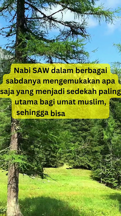 4 SEDEKAH YANG PALING UTAMA MENURUT HADITS RASULULLAH