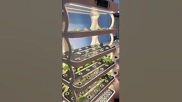 Lyine Smart Hydroponic Grow Cabinet:Harvesting Fresh Veggies at Home! #homefarming #hydroponics