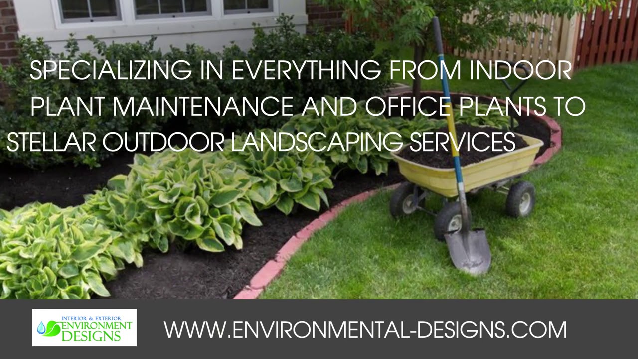 Plants-Interior Design & Maintenance in Carlsbad CA, details at