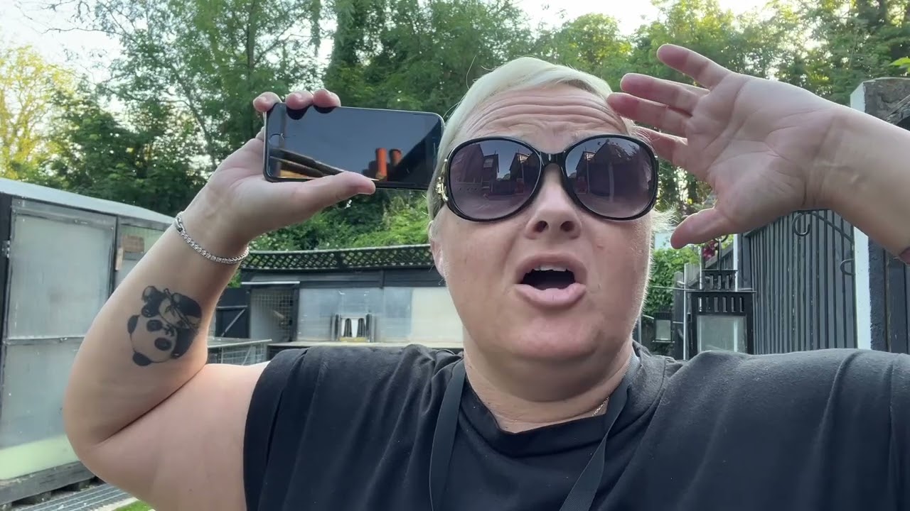 Training sprint pigeons 