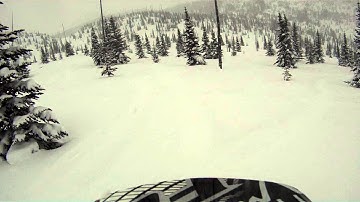 putzin around in the trees