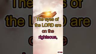 God’s Promise to the Brokenhearted ❤️‍🩹 | Psalm 34 #brokenhearted #healingprayer #psalm34
