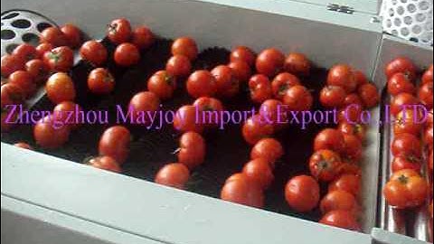 MAYJOY Tomato Sorting Machine/ Fruits Sorting Machine/Grading Machine