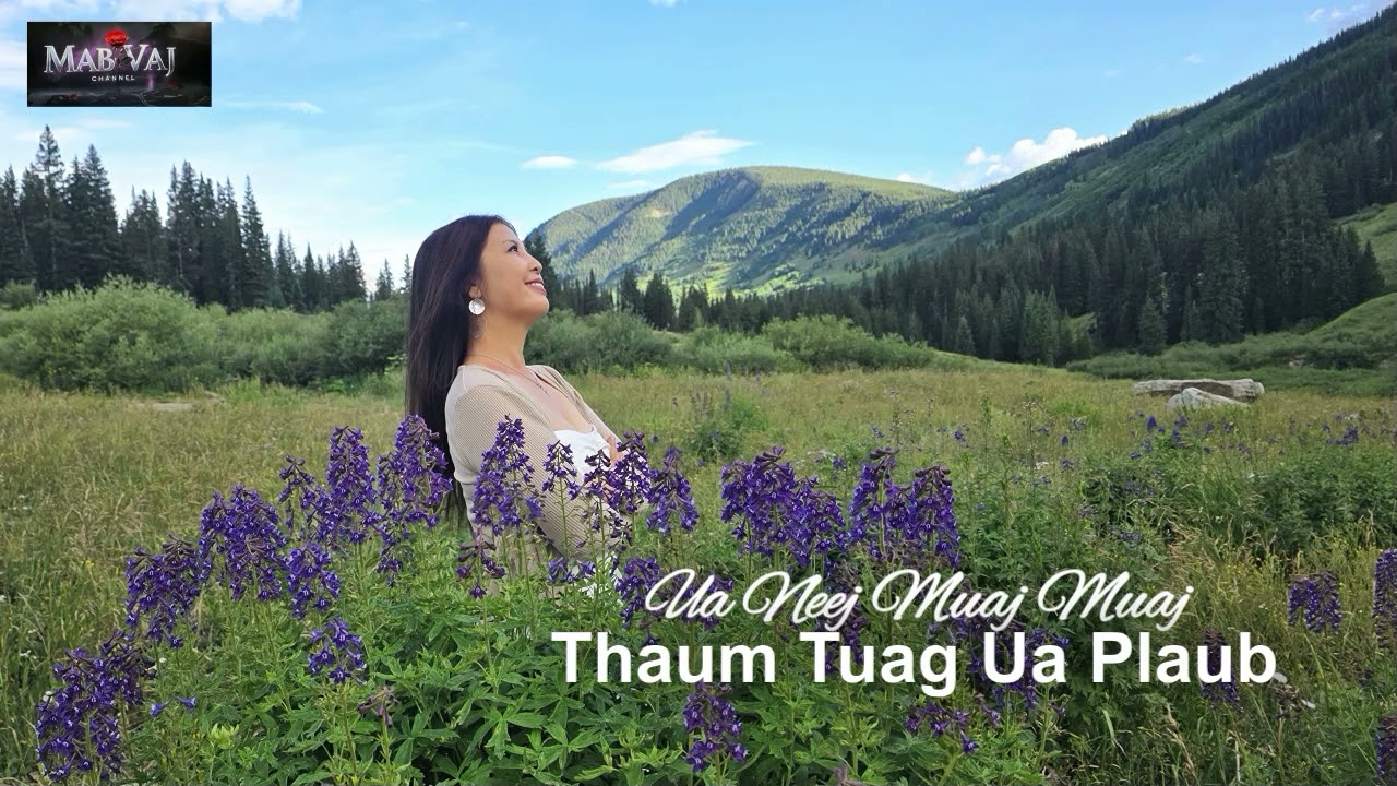 Ua Neej Muaj Muaj Thaum Tuag Ua Plaub~08/04/2025~