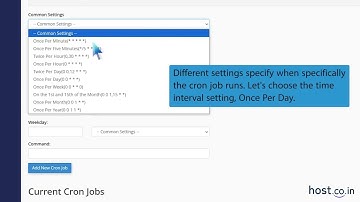 How to create Cronjob via cPanel with Host co in