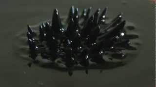 Magnetic Liquid