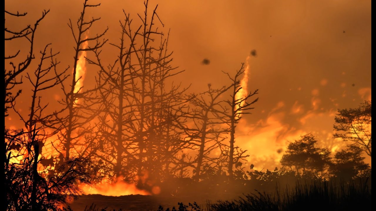 The Rundown On The Worst Drought In California History - 