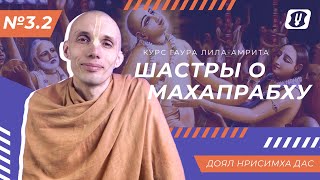 №3.2 Шастры о Махапрабху \ Доял Нрисимха дас(курс "Гаура-лила амрита")