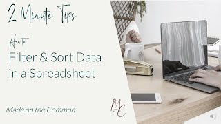 Celebrity 2 Minute Tips:  How to Use Filters and Sort your Data in Excel Profile