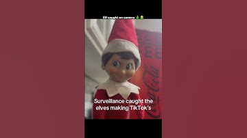 Elf caught on camera 🎄🧝#shorts #funny #elf #funnyvideo