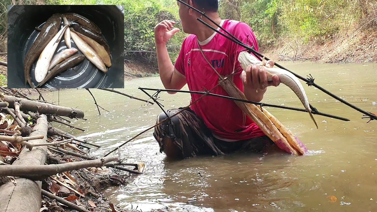 ใส่เบ็ดแมงกีซอนน้ำเริ่มแห้งตัวสวยๆทั้งนันหมานๆ