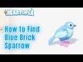 GET THE BLUE BRICK SPARROW FAST! How to Find Rare Bird Info Card in Heartopia Tutorial