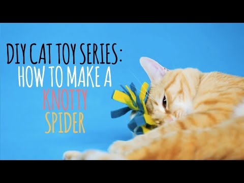 10 DIY Cat Toys That Will Keep Your Feline Friend Entertained