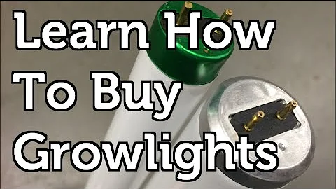 CFL or Flourescent Grow Lights What You Need to Know to Buy and Build the Best Grow Operation