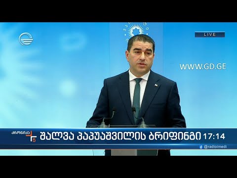 შალვა პაპუაშვილის ბრიფინგი