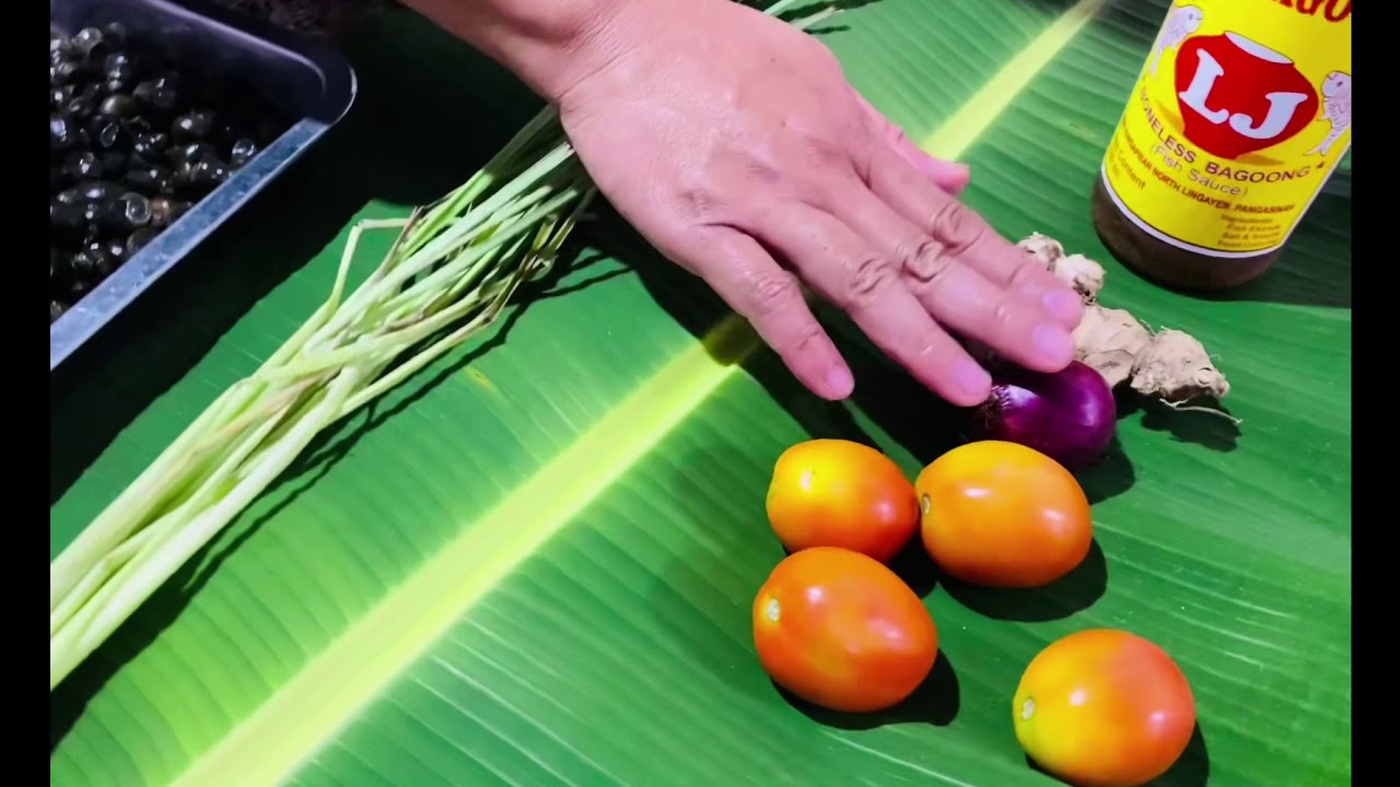 Hunting and Cooking Snails (liddeg) - YouTube
