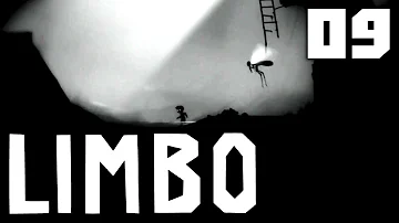 Jaké jsou samičky komárů?