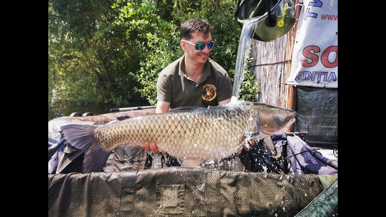 Capturi record la ten 🐟! Record personal in Romania la amur pe Tancabesti! Alunele tigrate sunt top!