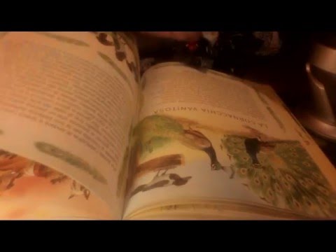ASMR favle whispered "il leone va alla guerra" italian