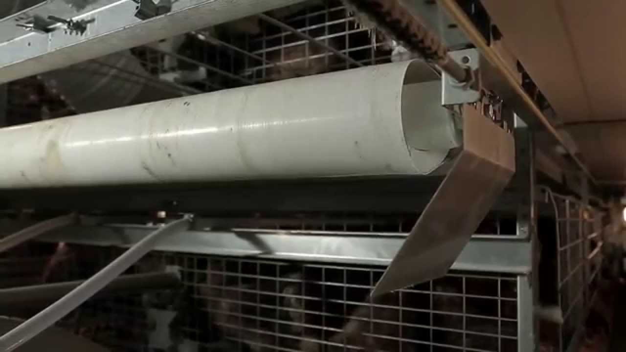 VALLI Removal of manure