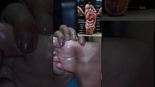Download Lagu Your foot holds a map of your entire body! 👣😲  #Reflexology #HumanAnatomy #WellnessEducation MP3