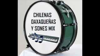 Video thumbnail of "🎷 🎶 sones y chilenas de Oaxaca y Guerrero mix 100 ★ ★"