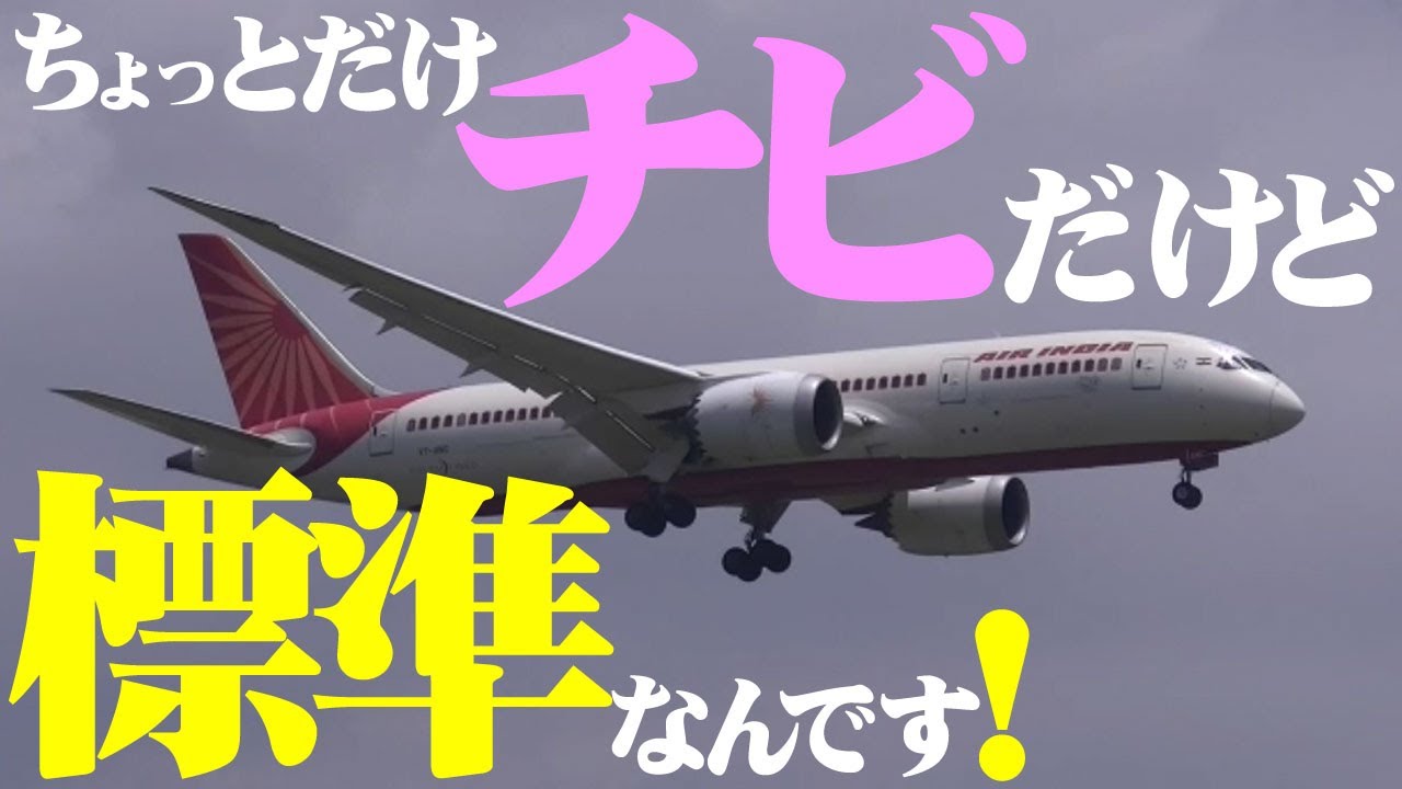 【成田空港】ちょいと小粒で地味だけど絶妙な名機！最新鋭ボーイング787の”標準型”ボーイング787−8の姿を成田で探してみた