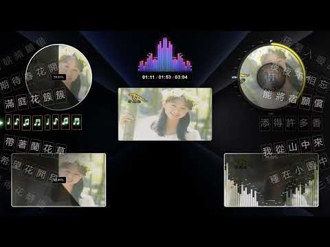 蘭花草 Orchid Grass  -  卓依婷 Timi Zhuo