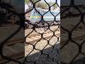 2k26train jury #shortsfeed #shorts #viral #train