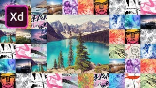 Celebrity Quickly Present Images Adobe XD Tutorial Net Worth