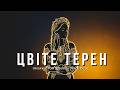ЦВІТЕ ТЕРЕН Етно House від якого мурашки по шкірі Ukrainian Balkan Groove українськанародна 
