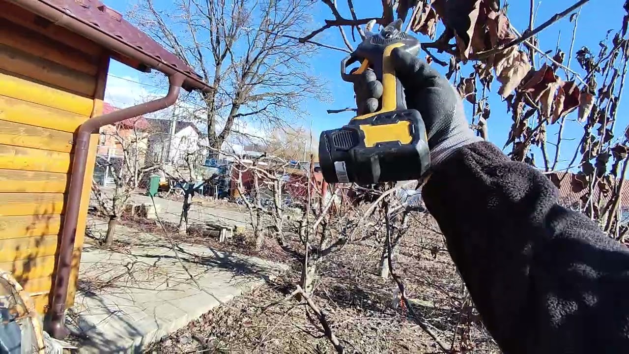 Taierea la gutui format vas ✂️✅🤗