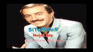 Nejat Alp - özlem Resimi