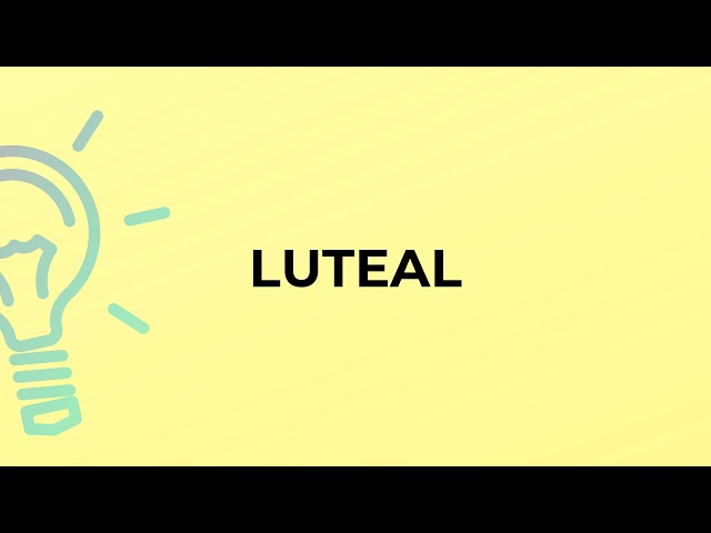 What is the meaning of the word LUTEAL? 