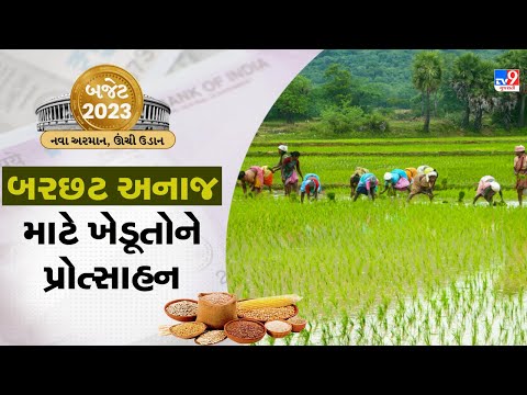 મોટા અનાજ માટે ખેડૂતોને પ્રોત્સાહન આપવામાં આવશે | TV9