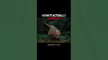 Real Sound Of T Rex 
