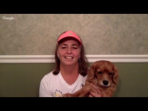 Pickleball Game Analysis: Stephanie Lane