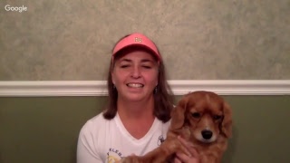 Pickleball Game Analysis: Stephanie Lane