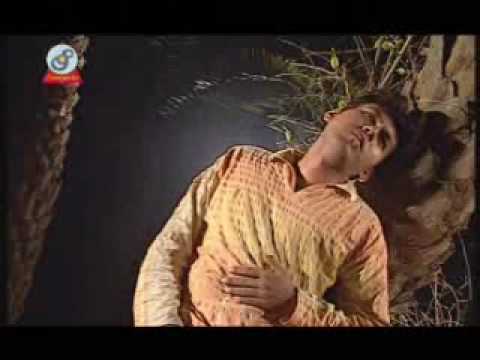 Bangla song Moyna amar jay sariyawmv