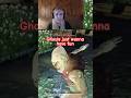 Real life Appalachian plays #fallout76 - Ghouls just wanna have fun #gaming channel g