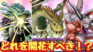 【ドラクエタクト】ドラゴン系３体才能開花考察！