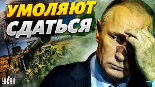 Генералы умоляют Путина остановиться. Вову предупредили о фиаско