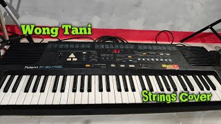 Wong Tani Cover Strings Roland e16...!!! musik sandiwaraan