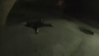 Body camera video shows arrest of suspect in PlayStation murder plot