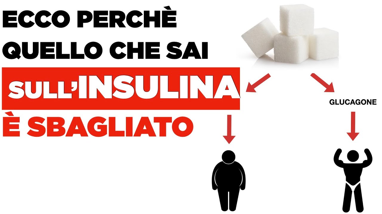 A cosa serve l'INSULINA?