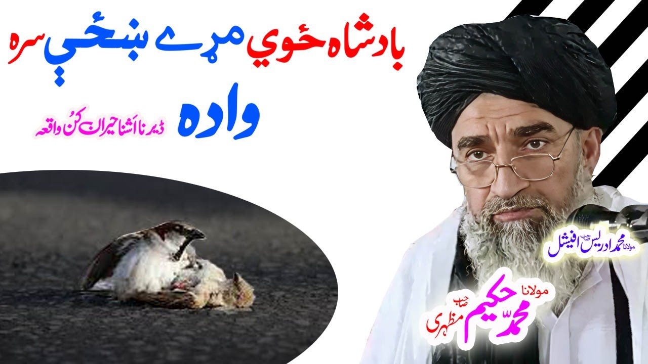 #maulanahakeemmazhari #pashtobayan #pashtostory #ai