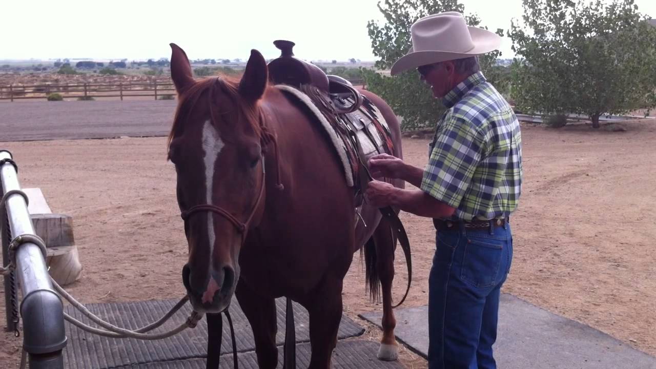 Saddle Up Cowboy - YouTube