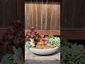 Cute fairy garden #garden #succulent #plants #fairygarden #succulentarrangement