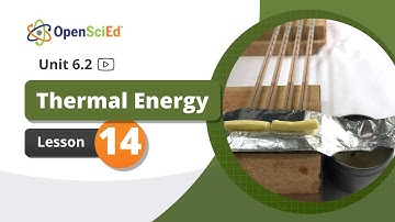 Unit 6.2 Lesson 14 | OpenSciEd On-Demand Resources