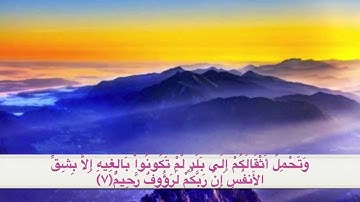 سورة النحل من آية ١ إلى ٨ بصوت ماهر المعيقلي